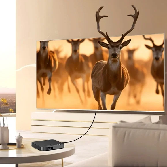 DESOBRY Mini DVD Player